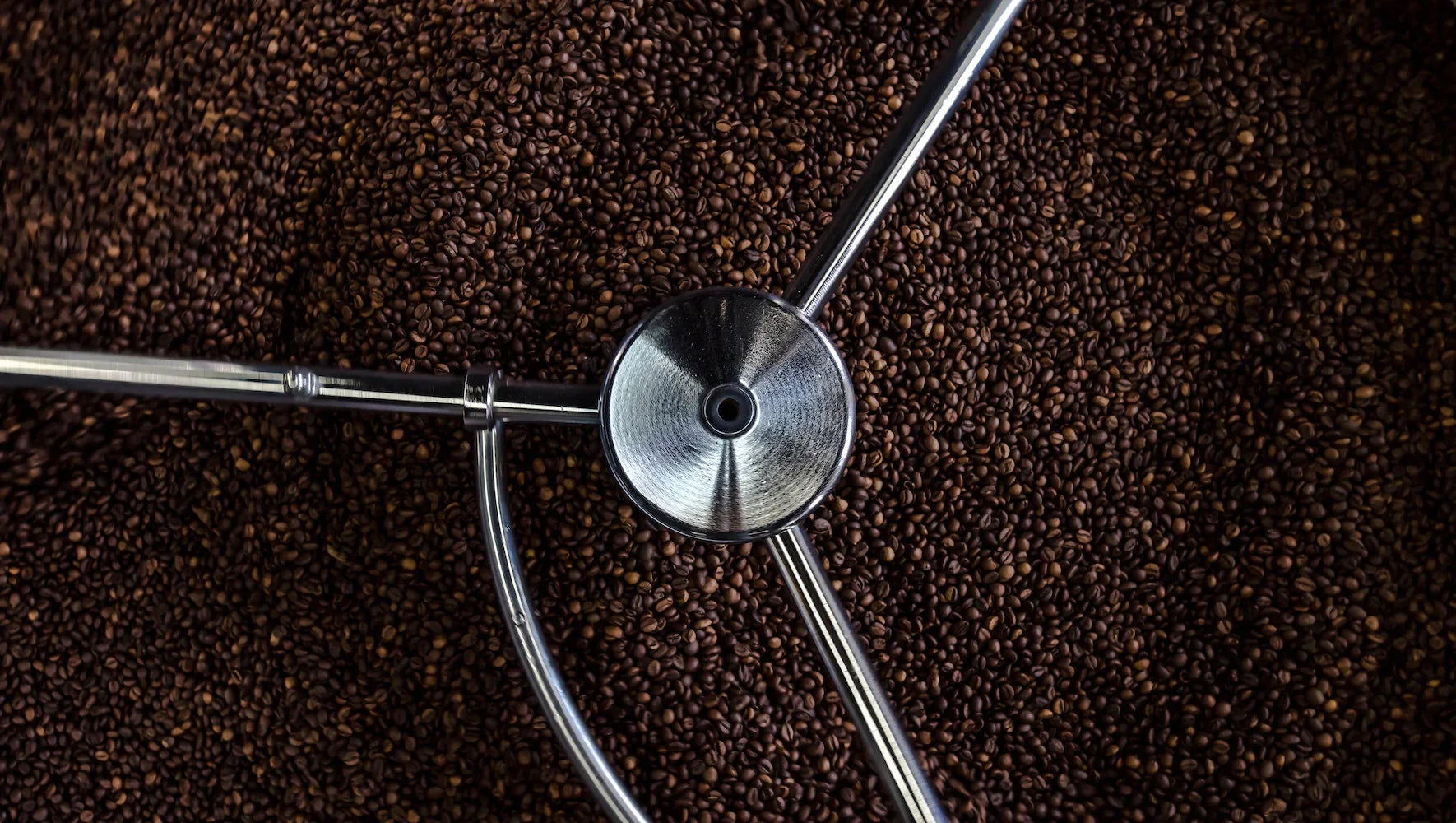 How to choose the best coffee beans