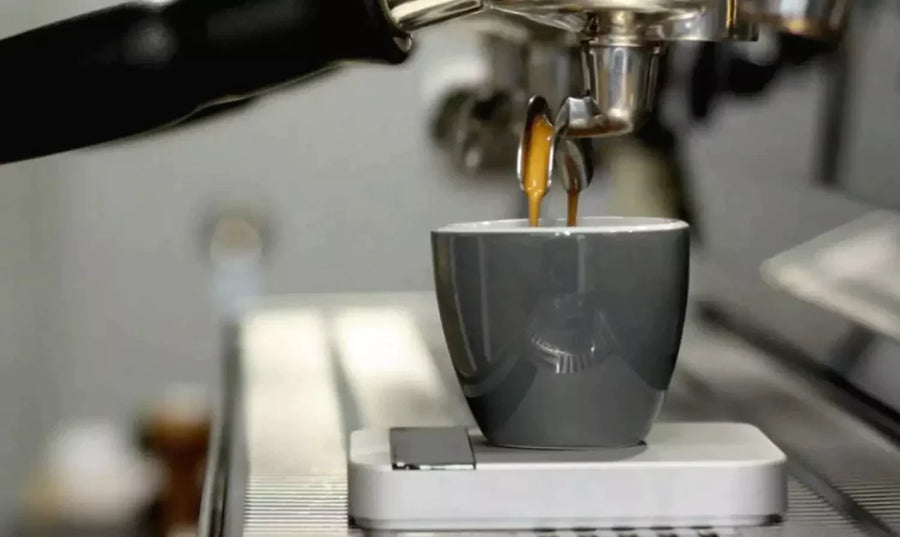 Coffee scales for espresso and pour over brewing