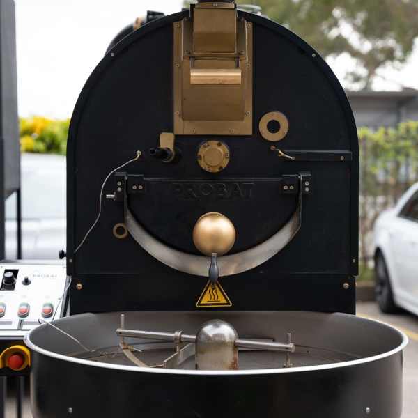 USED PROBAT P12 Gas Coffee Roaster With CHAFF Collector & DESTONER